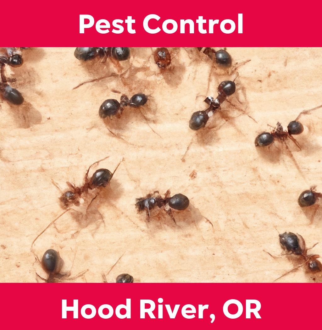 pest control in Hood River Oregon