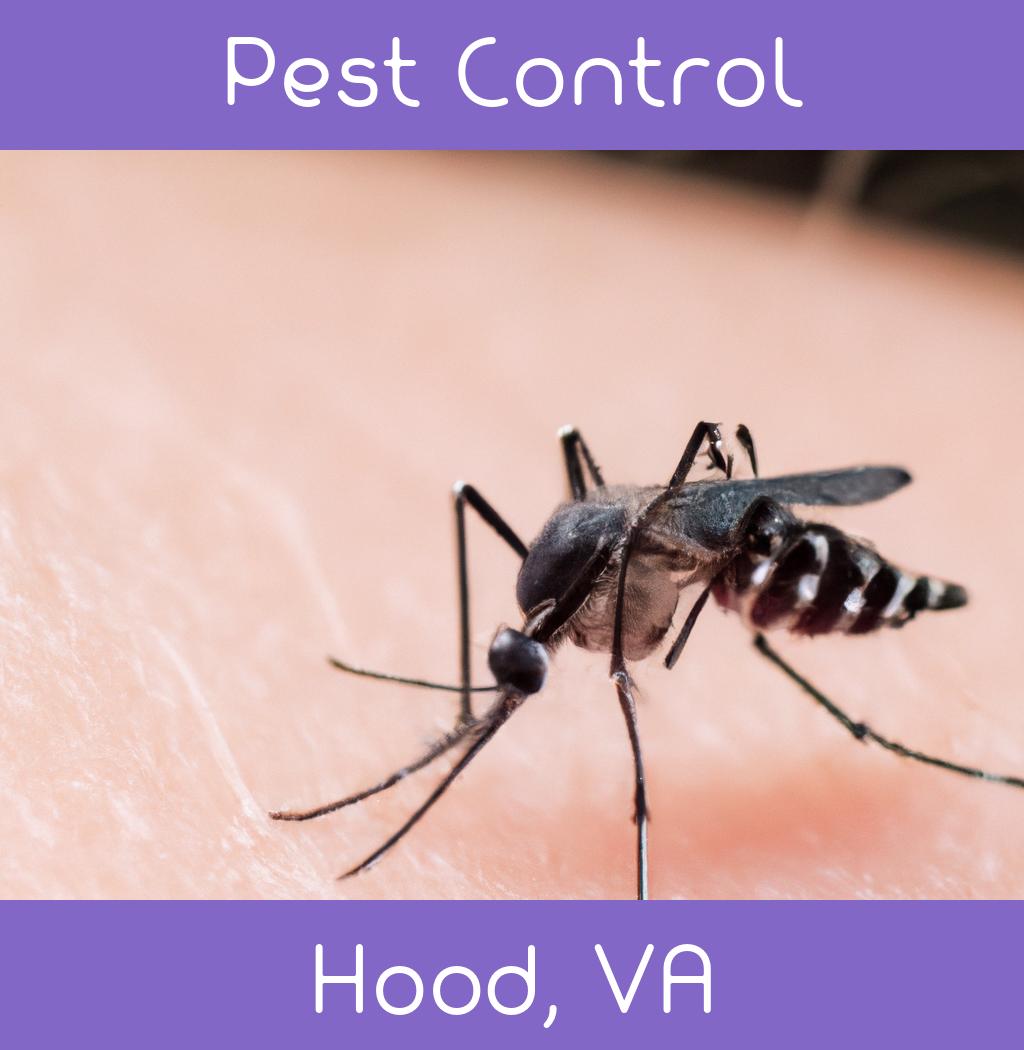 pest control in Hood Virginia