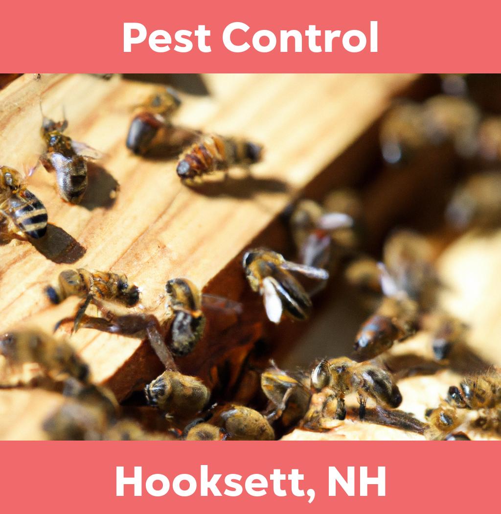 pest control in Hooksett New Hampshire