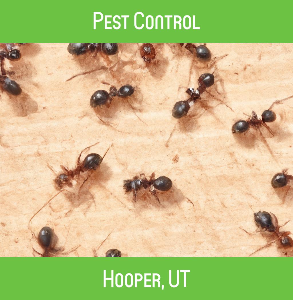 pest control in Hooper Utah