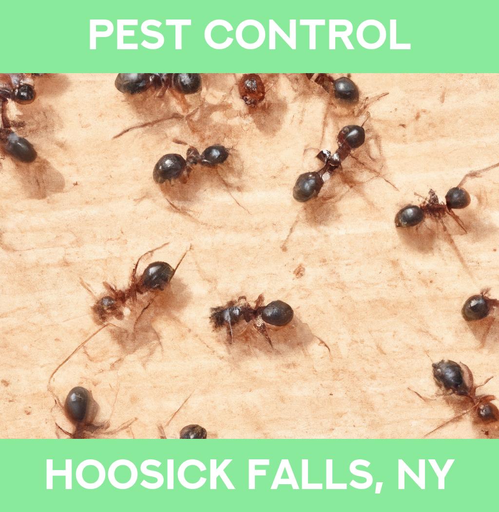 pest control in Hoosick Falls New York