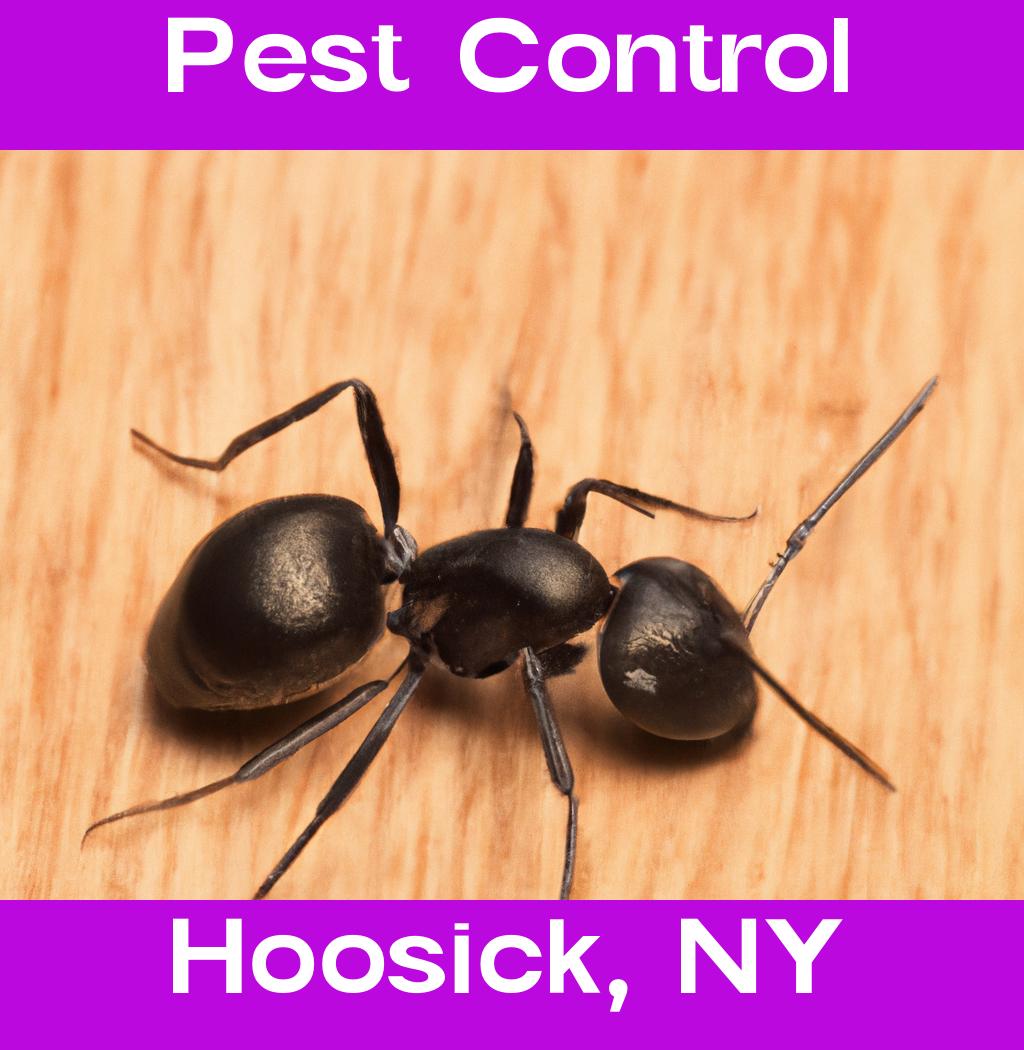 pest control in Hoosick New York