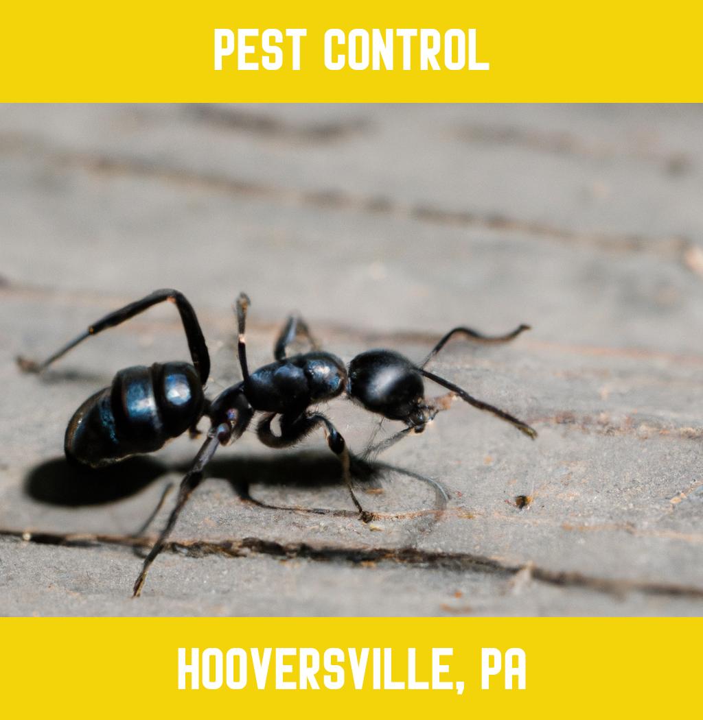 pest control in Hooversville Pennsylvania