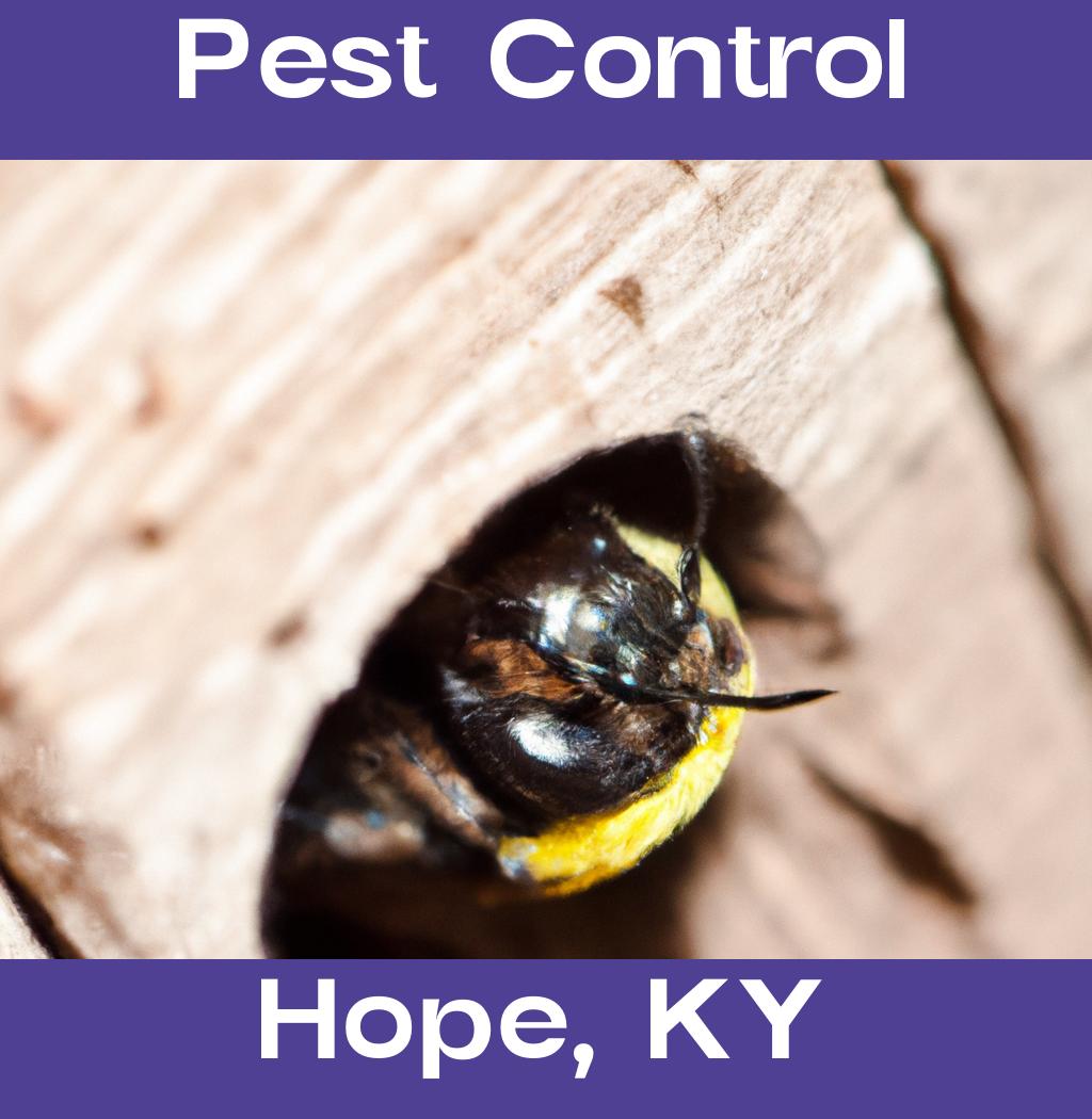 pest control in Hope Kentucky