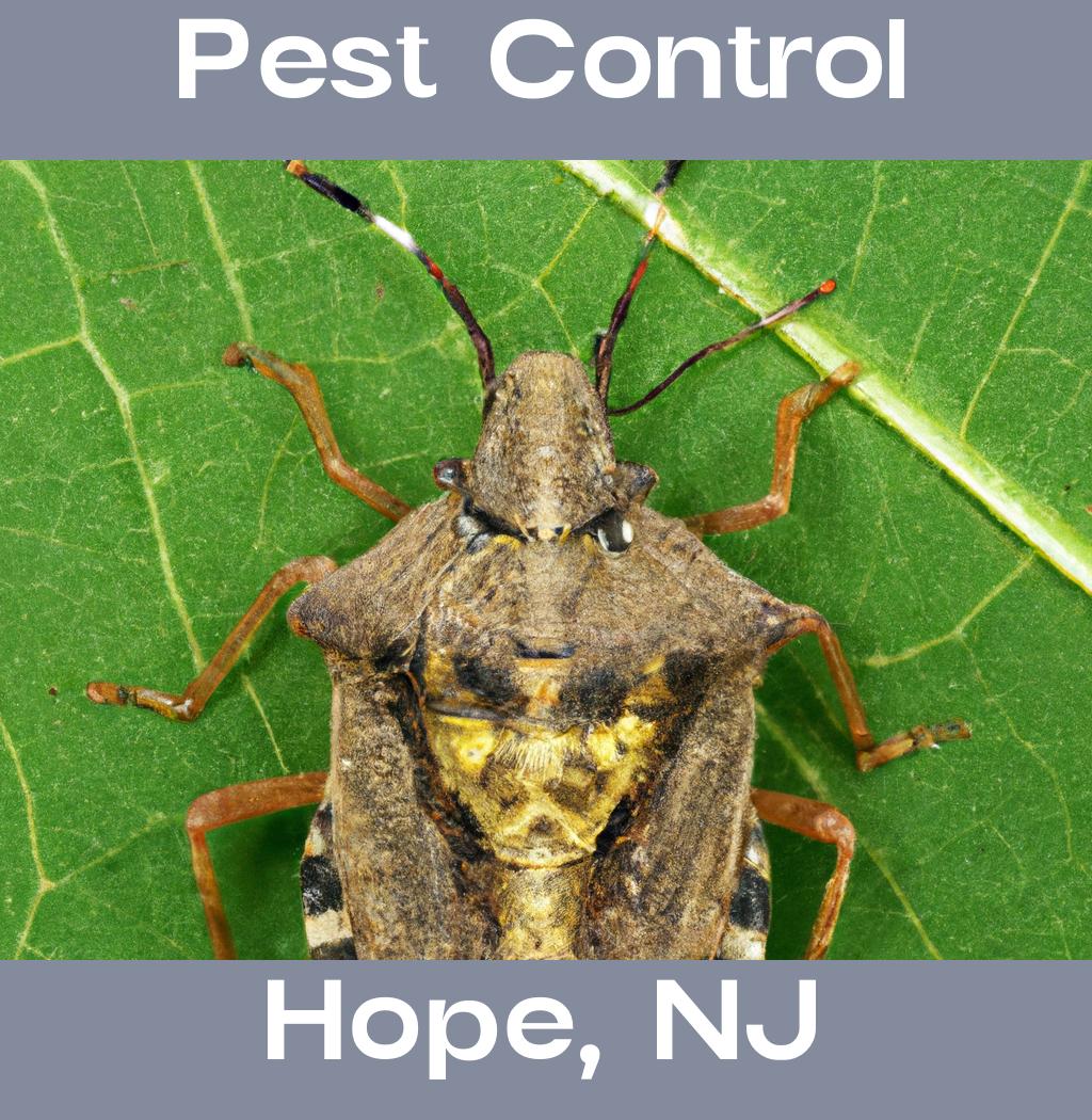 pest control in Hope New Jersey