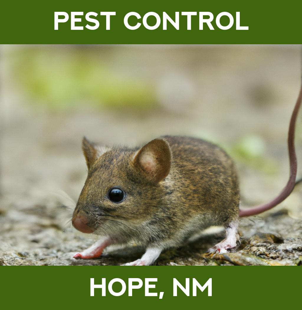 pest control in Hope New Mexico