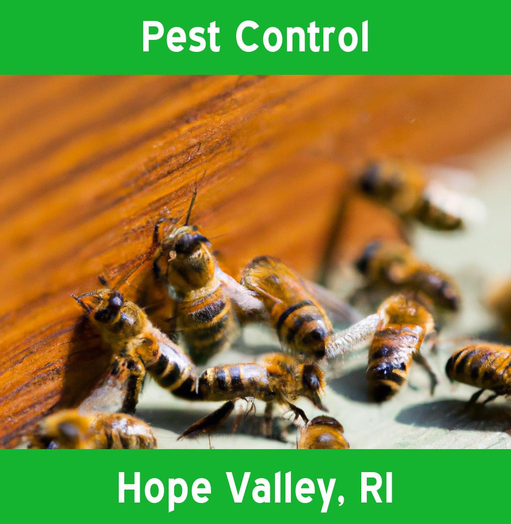 pest control in Hope Valley Rhode Island