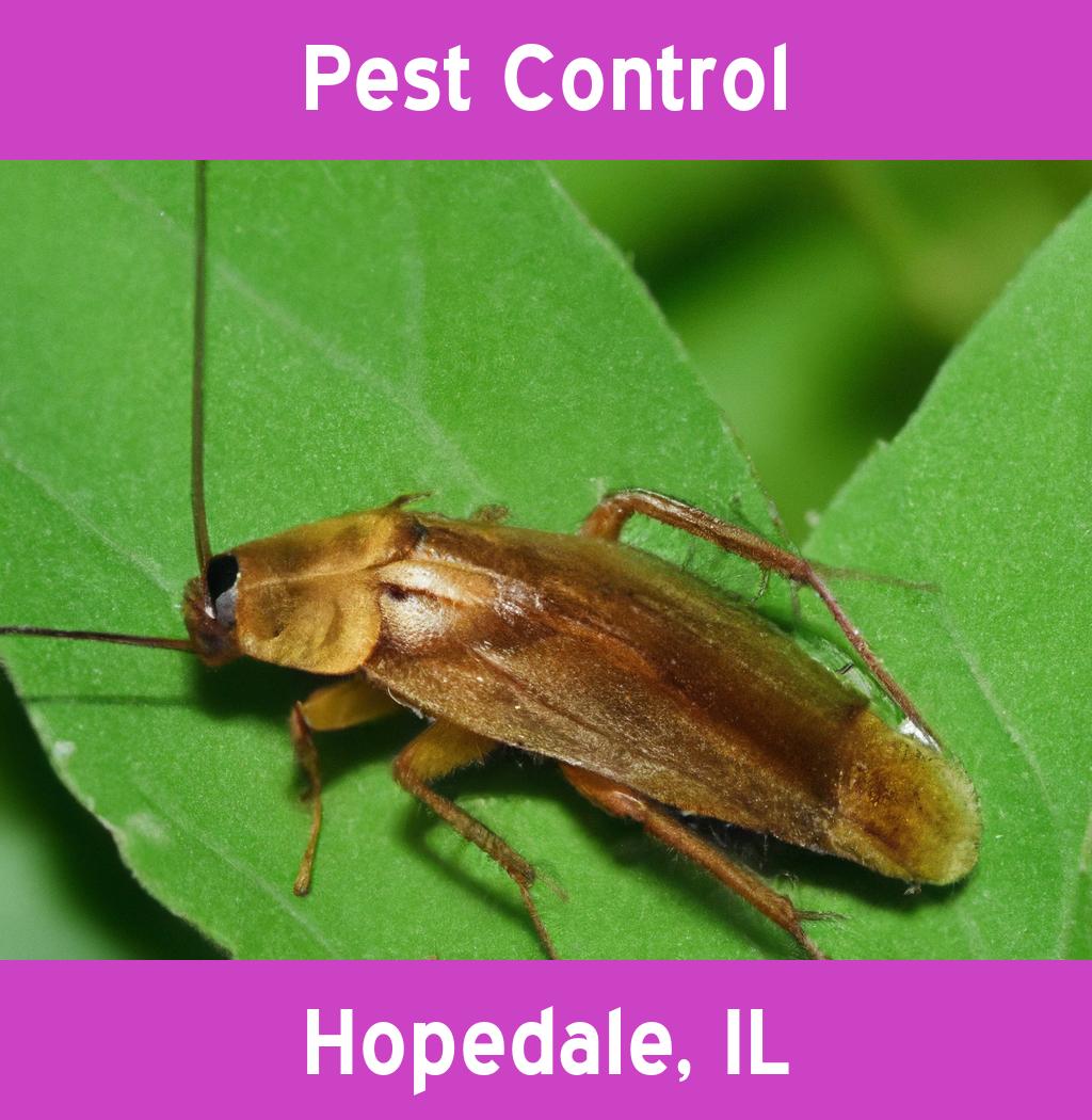 pest control in Hopedale Illinois