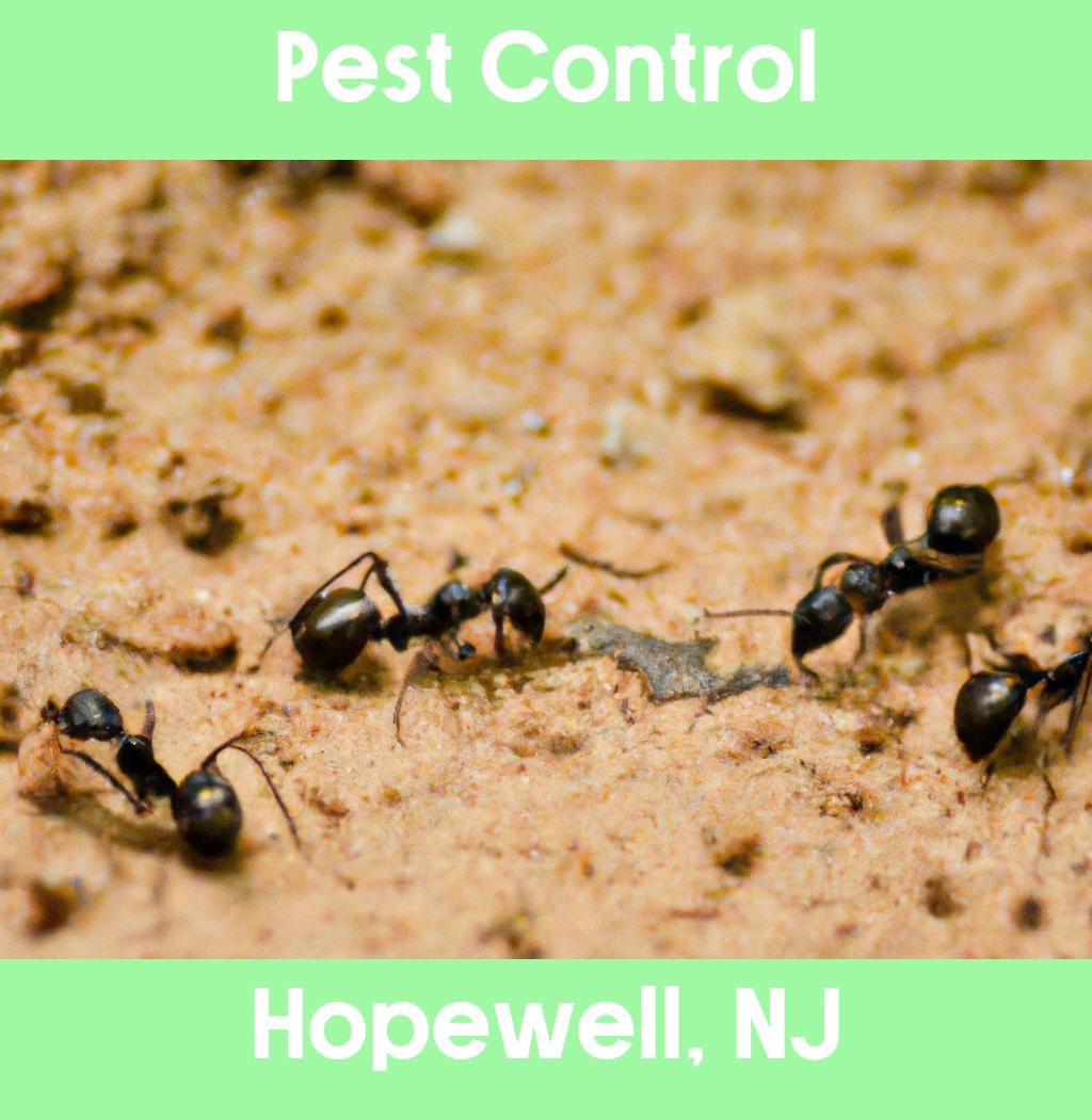pest control in Hopewell New Jersey