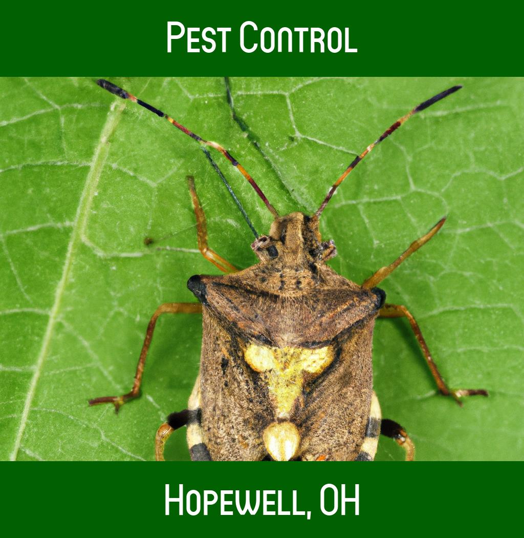 pest control in Hopewell Ohio