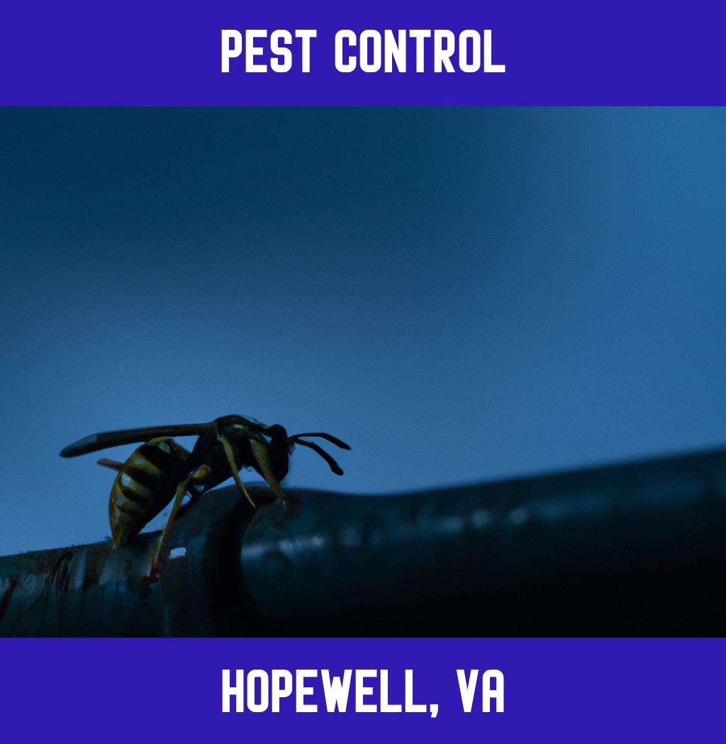 pest control in Hopewell Virginia