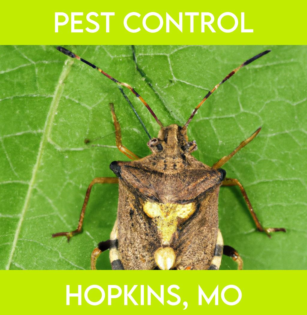 pest control in Hopkins Missouri