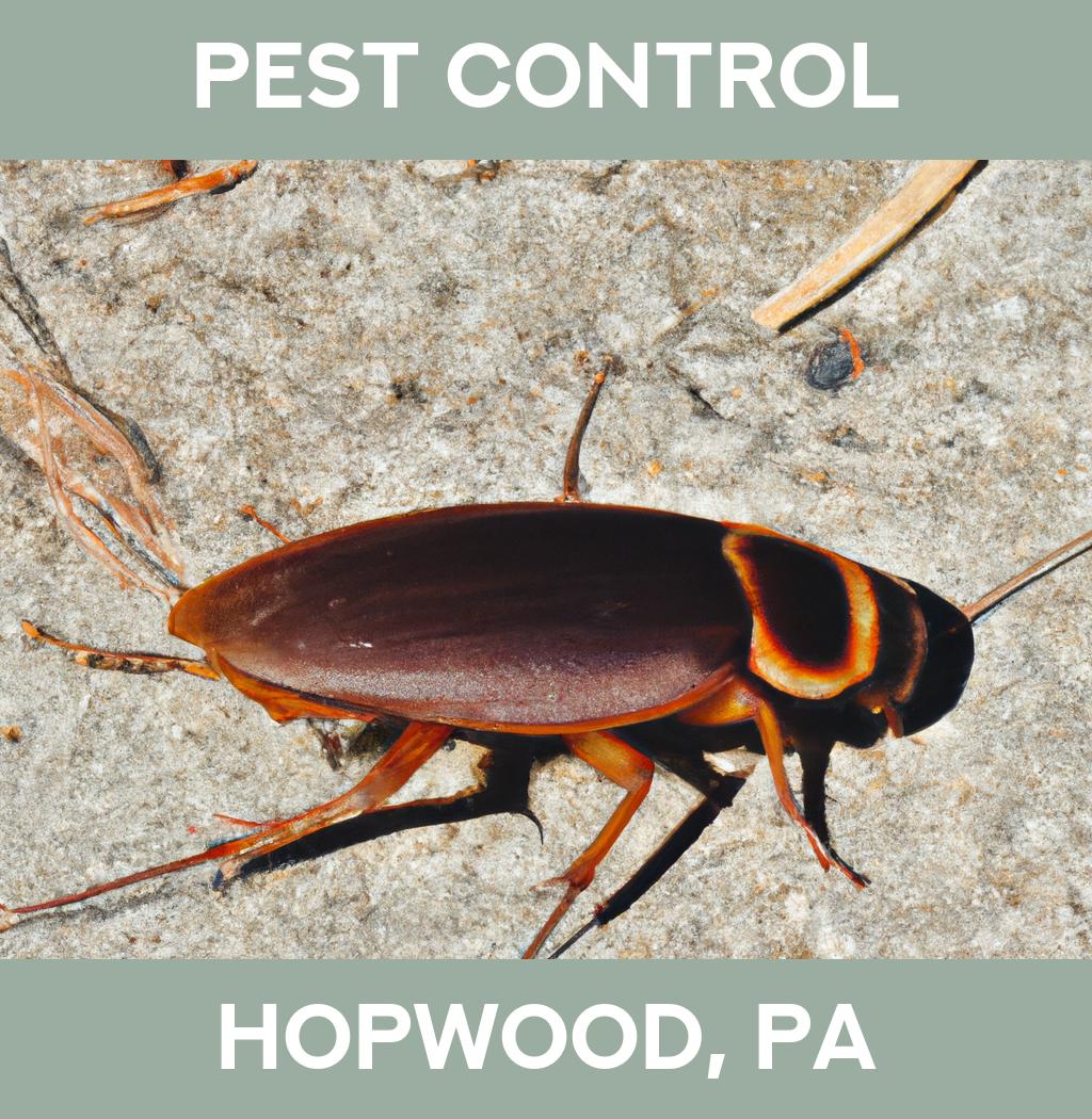 pest control in Hopwood Pennsylvania