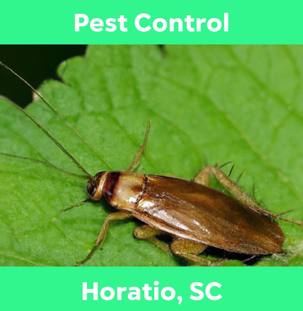 pest control in Horatio South Carolina
