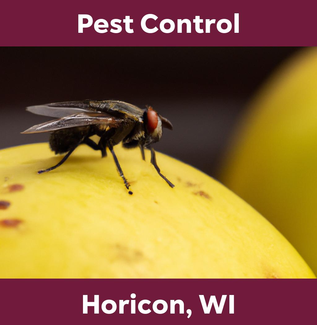 pest control in Horicon Wisconsin