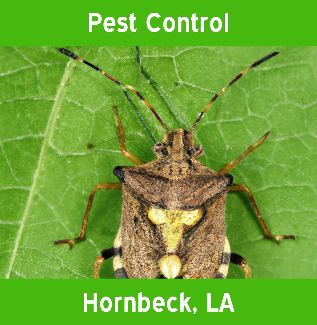 pest control in Hornbeck Louisiana