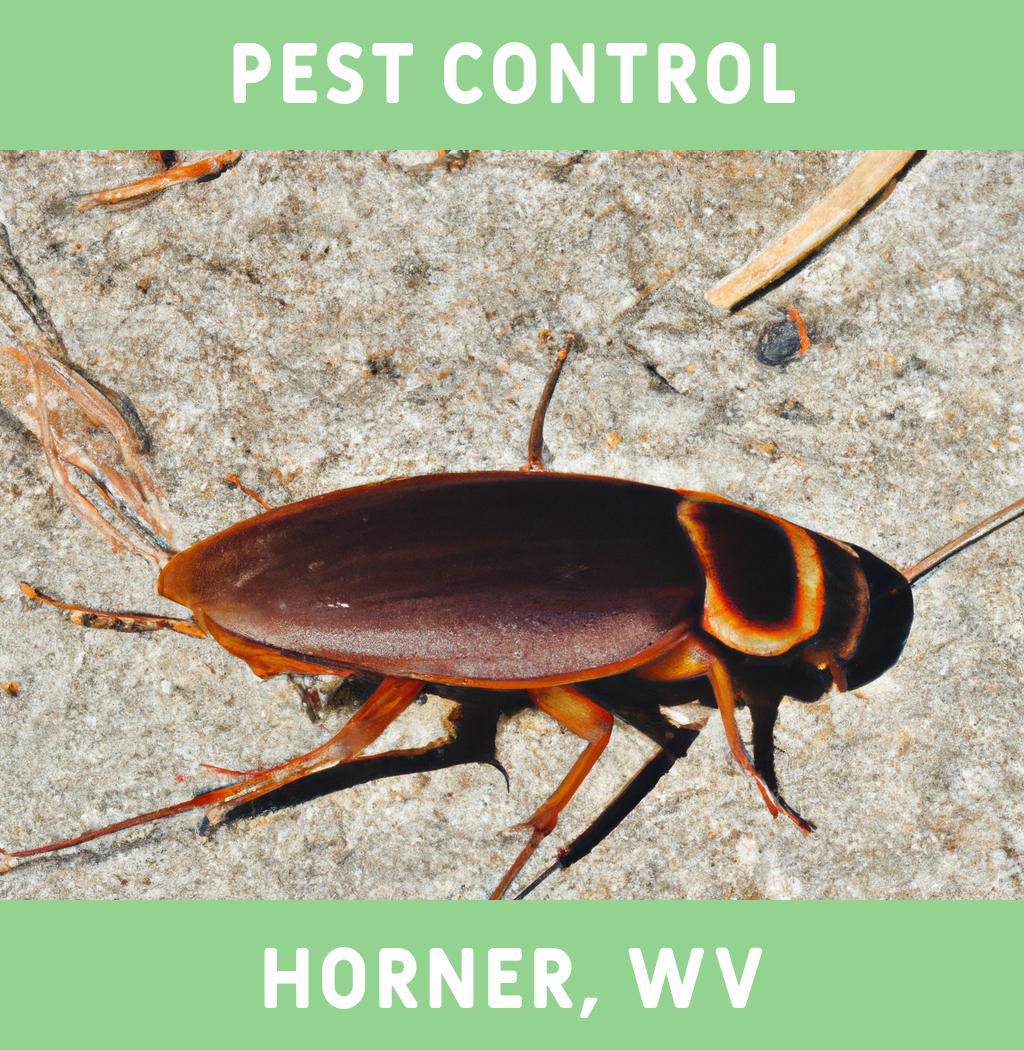 pest control in Horner West Virginia