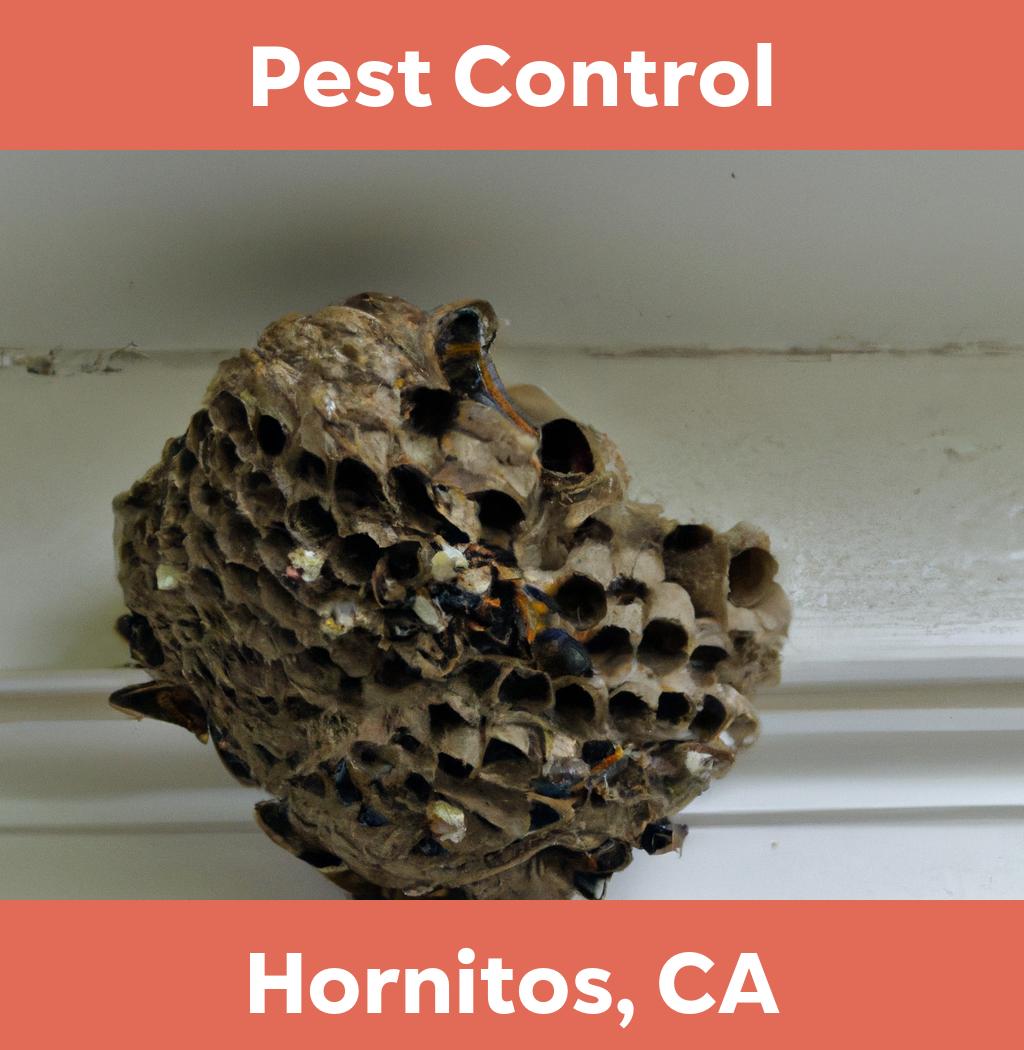 pest control in Hornitos California