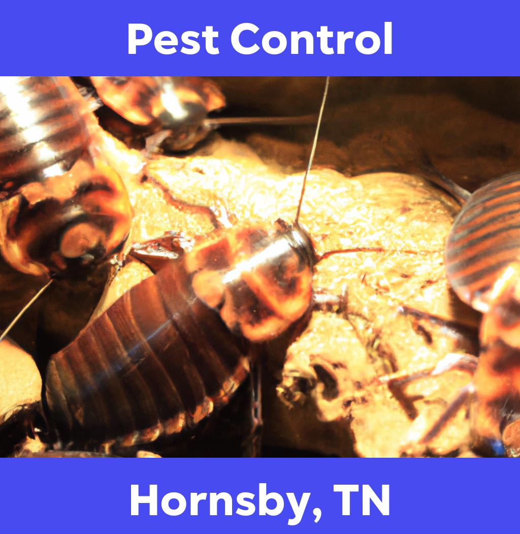 pest control in Hornsby Tennessee