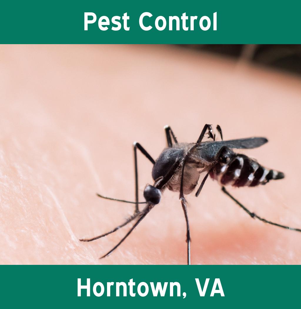 pest control in Horntown Virginia