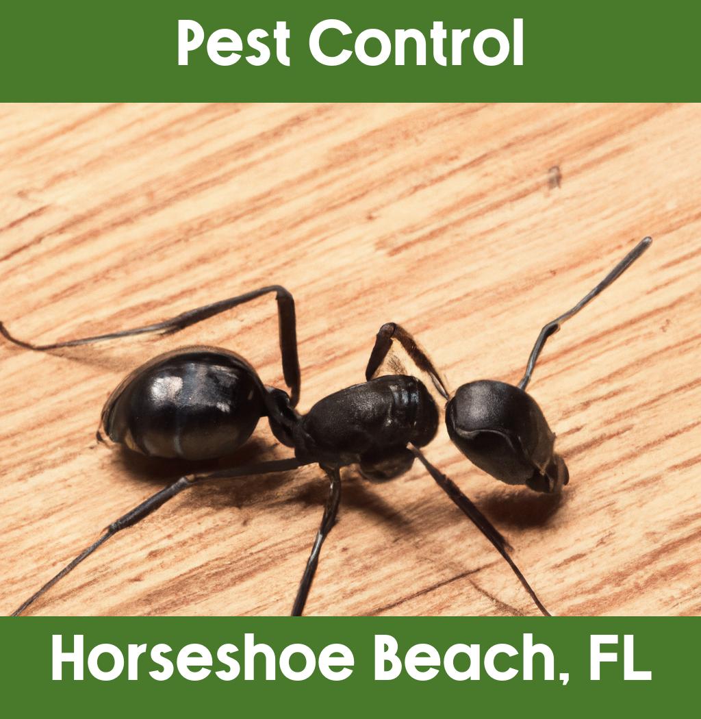 pest control in Horseshoe Beach Florida