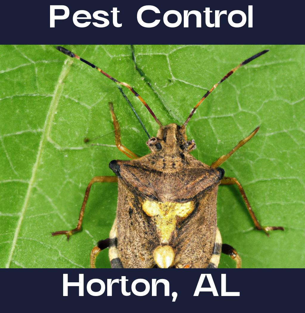 pest control in Horton Alabama
