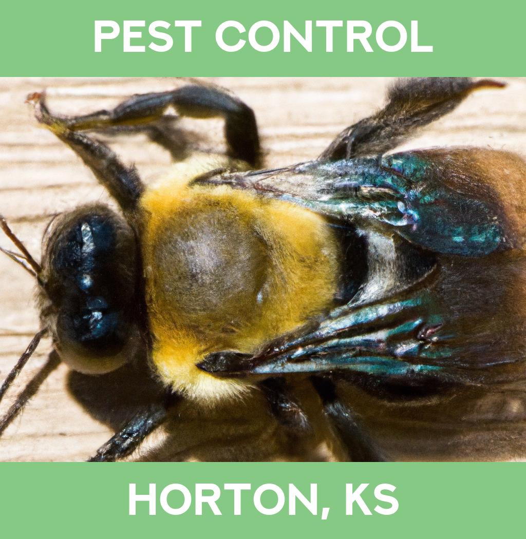 pest control in Horton Kansas