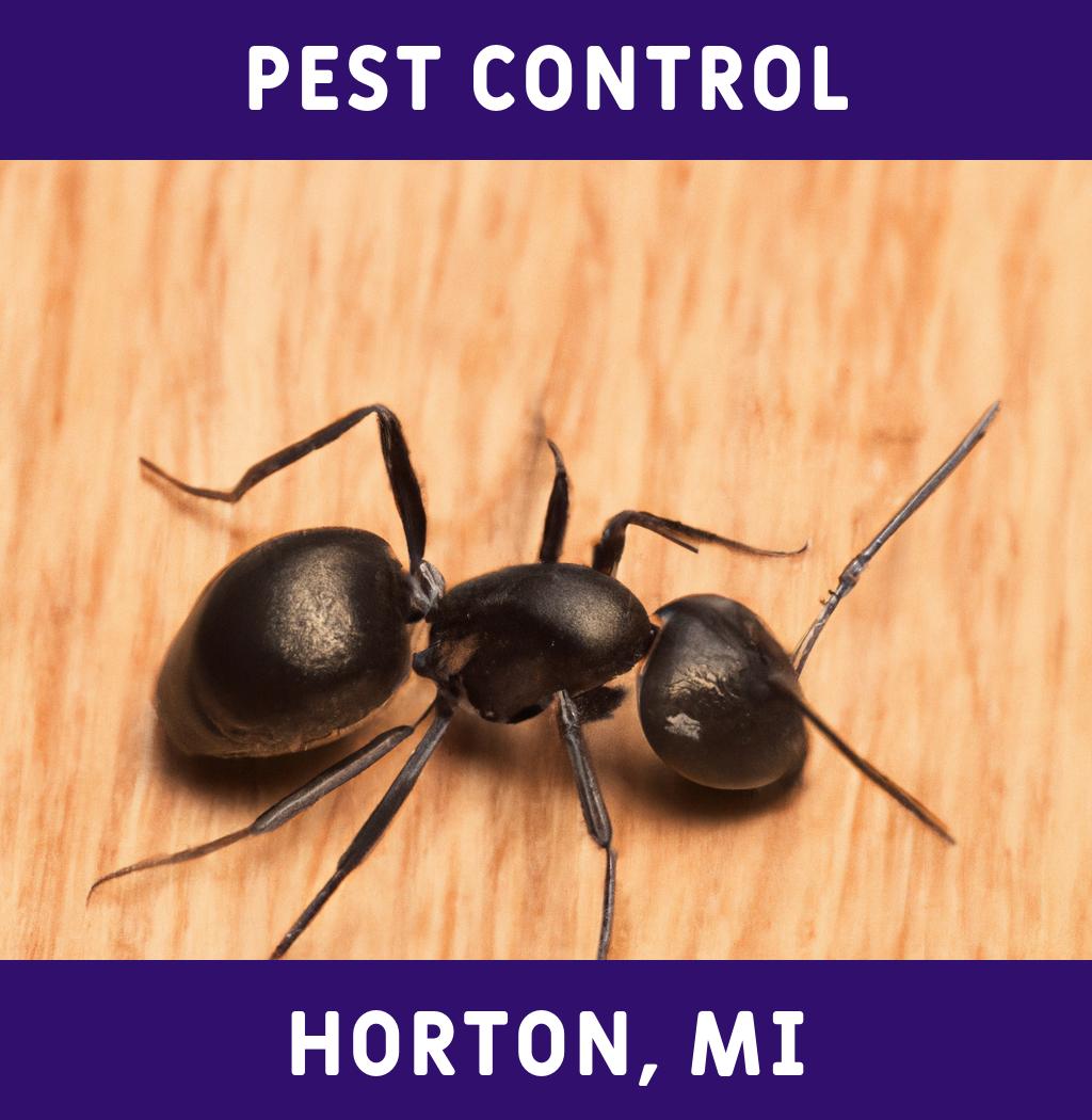 pest control in Horton Michigan