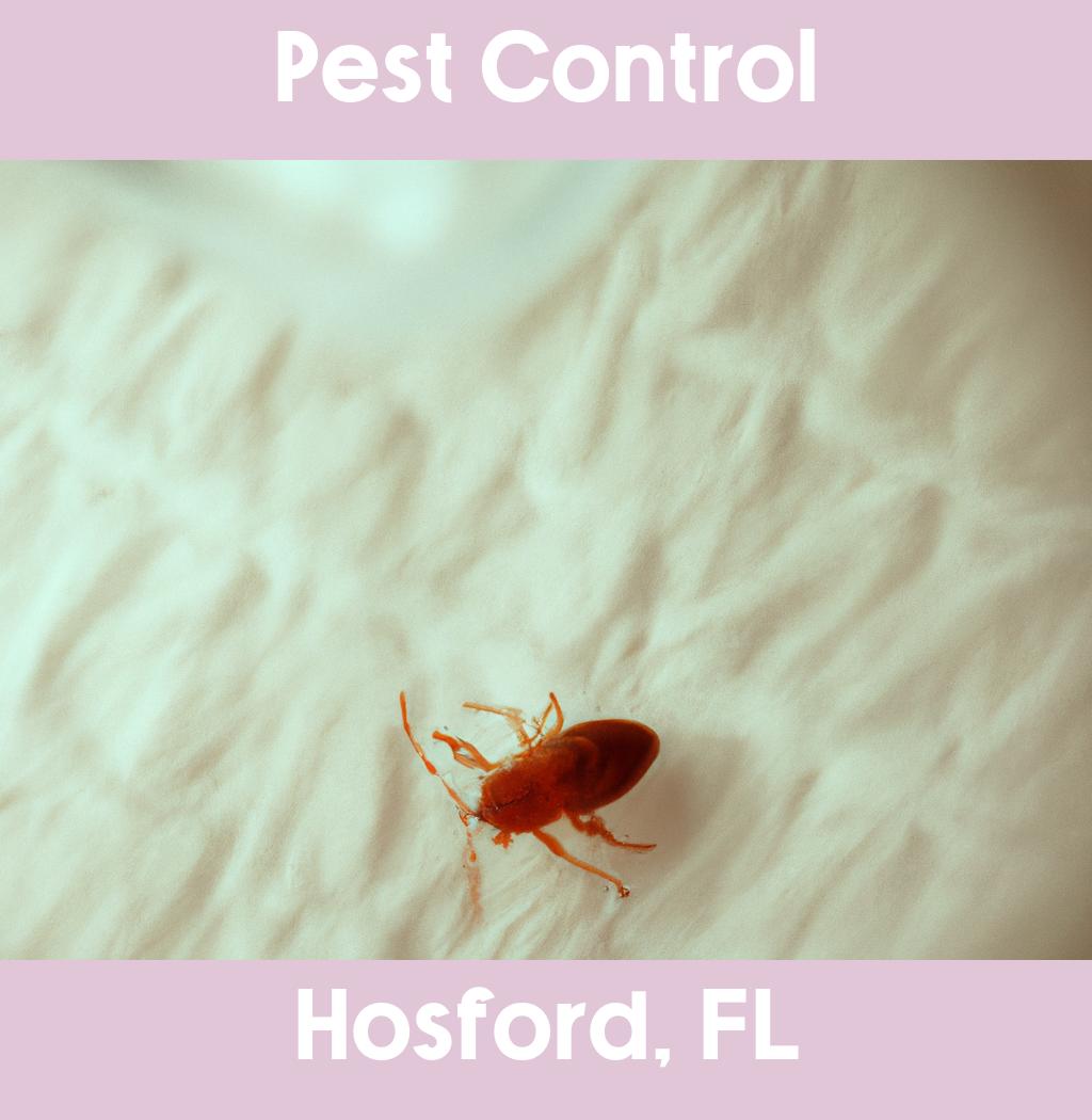 pest control in Hosford Florida
