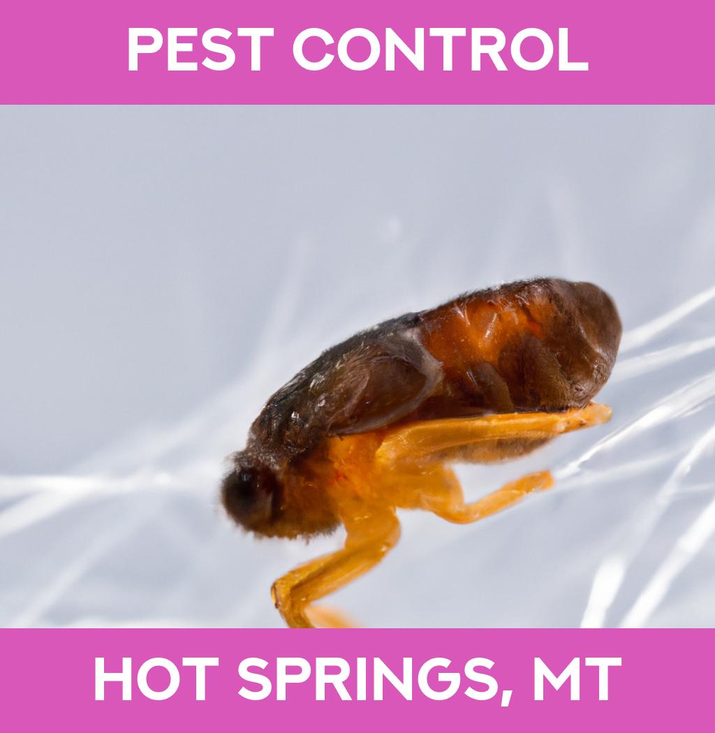 pest control in Hot Springs Montana