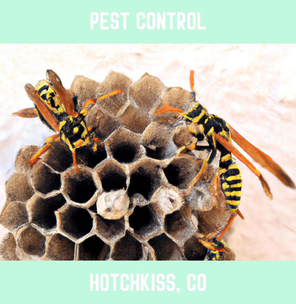 pest control in Hotchkiss Colorado