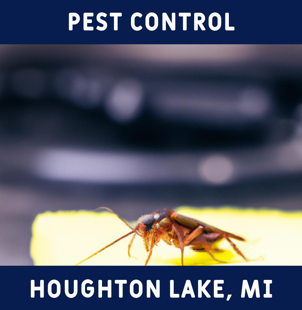 pest control in Houghton Lake Michigan