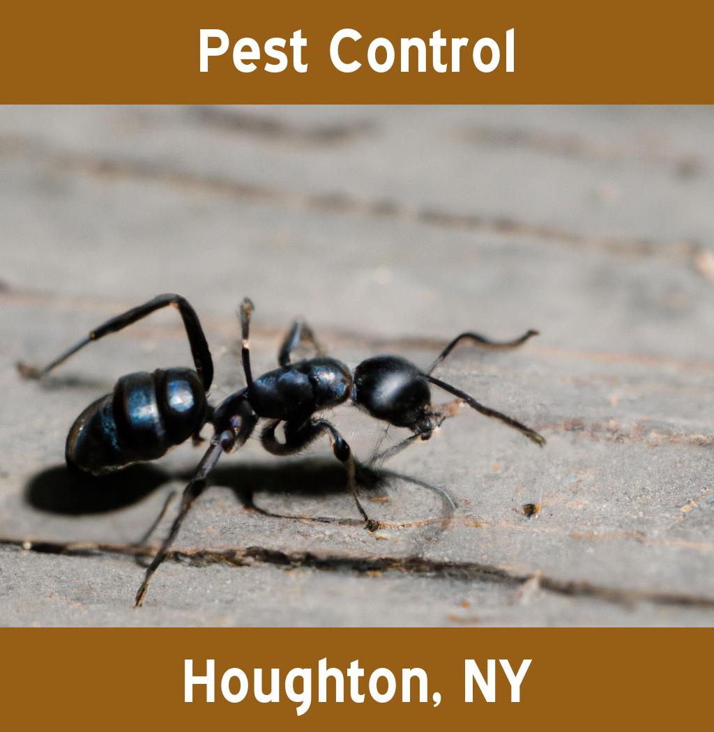 pest control in Houghton New York