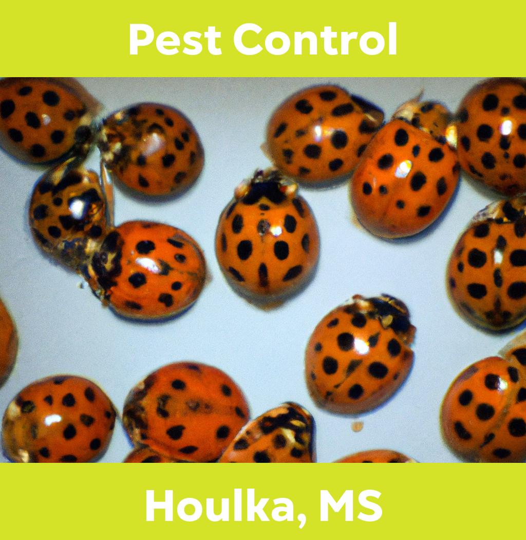 pest control in Houlka Mississippi