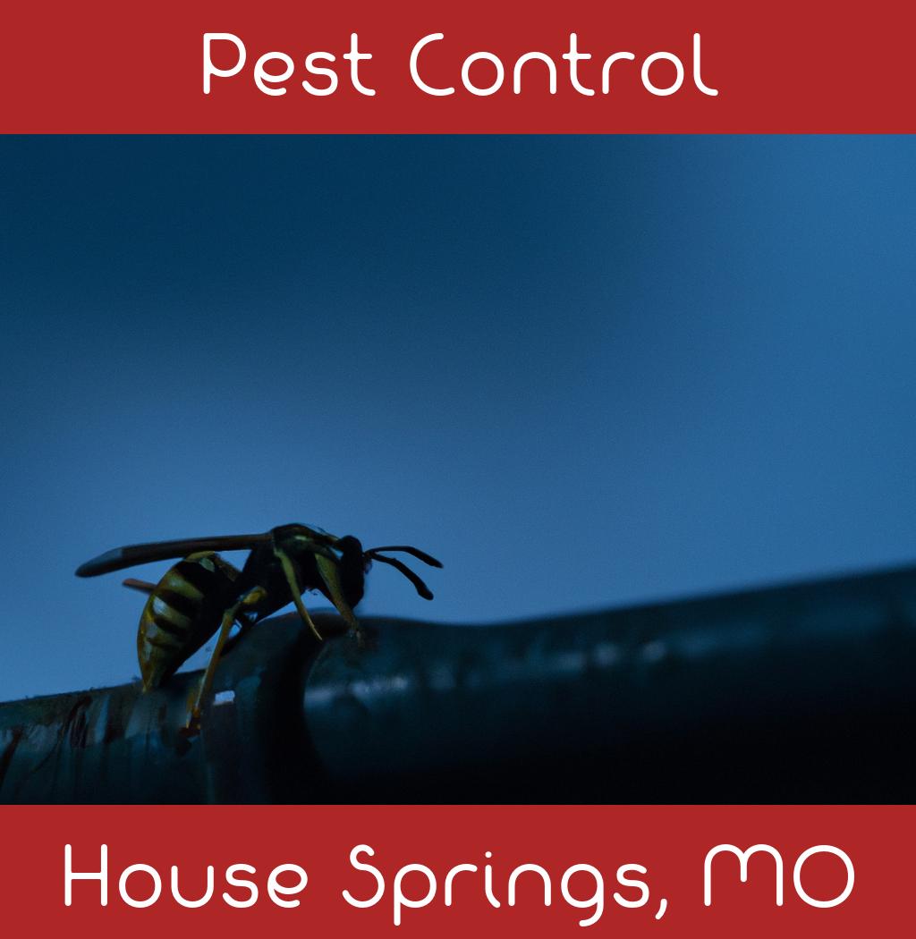 pest control in House Springs Missouri