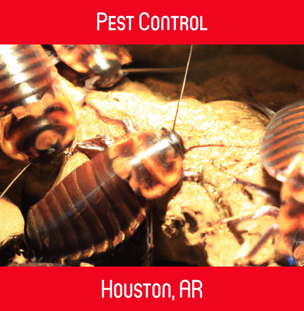 pest control in Houston Arkansas