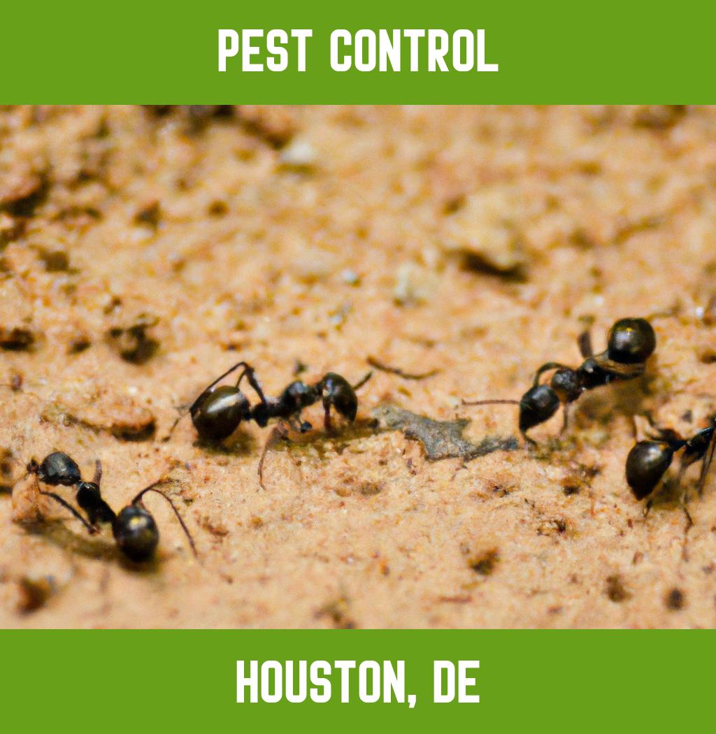 pest control in Houston Delaware