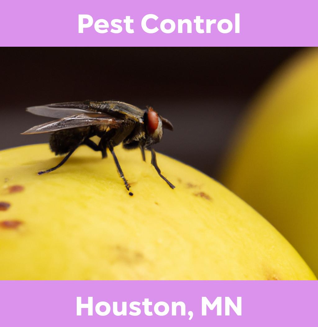 pest control in Houston Minnesota