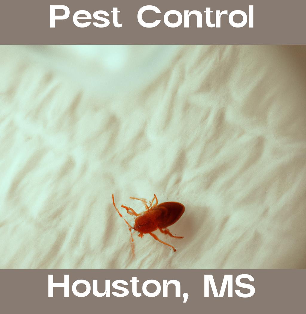 pest control in Houston Mississippi