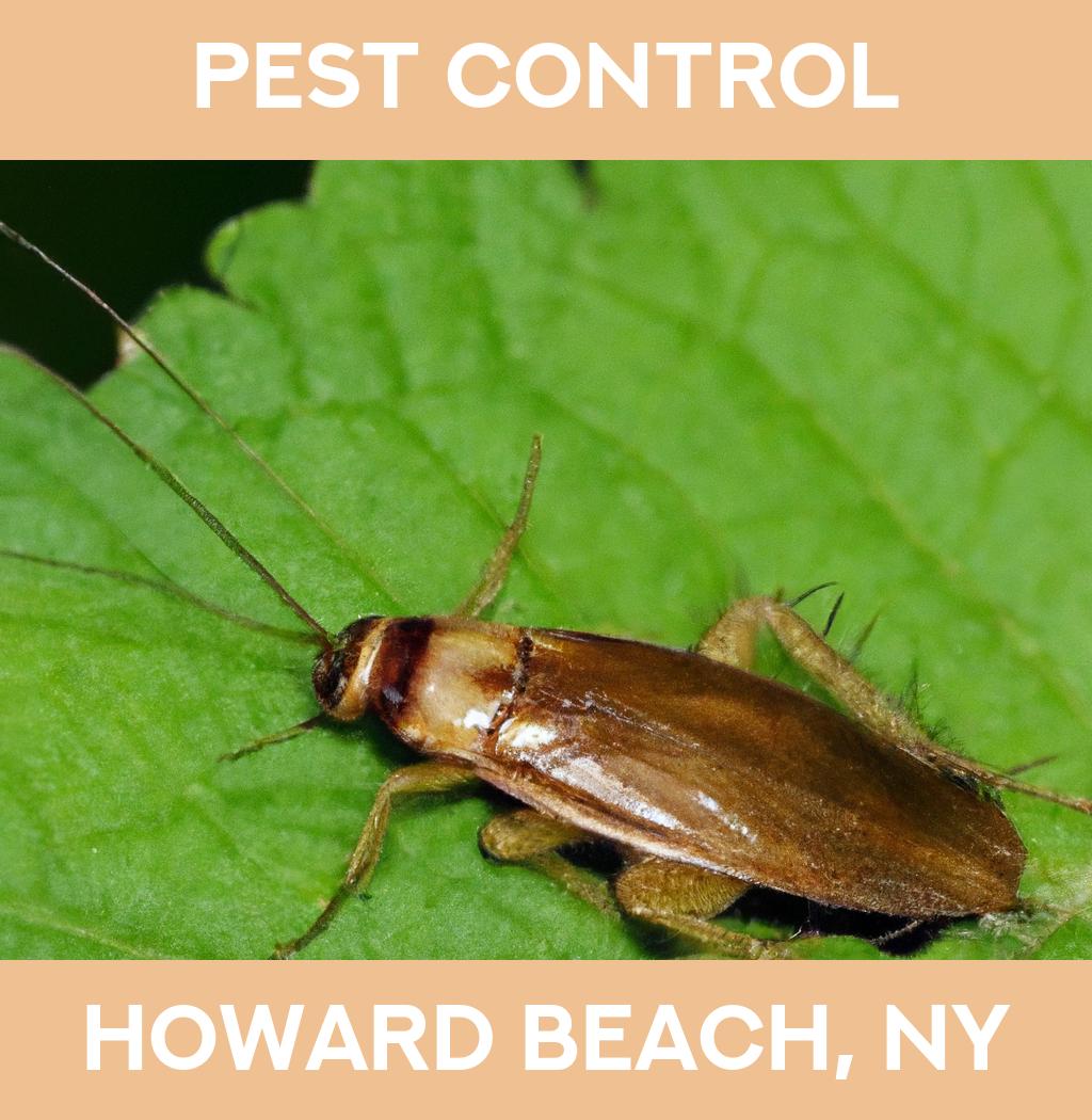 pest control in Howard Beach New York