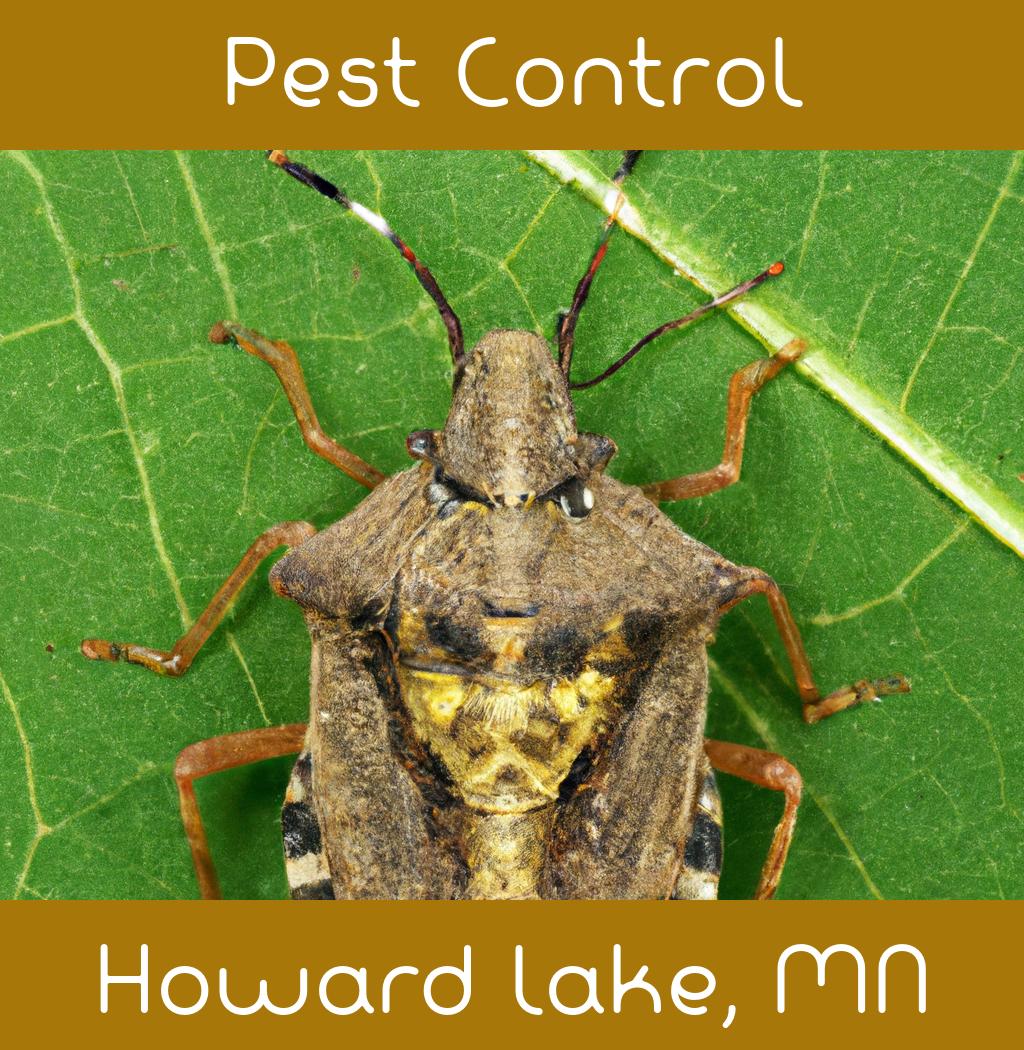 pest control in Howard Lake Minnesota