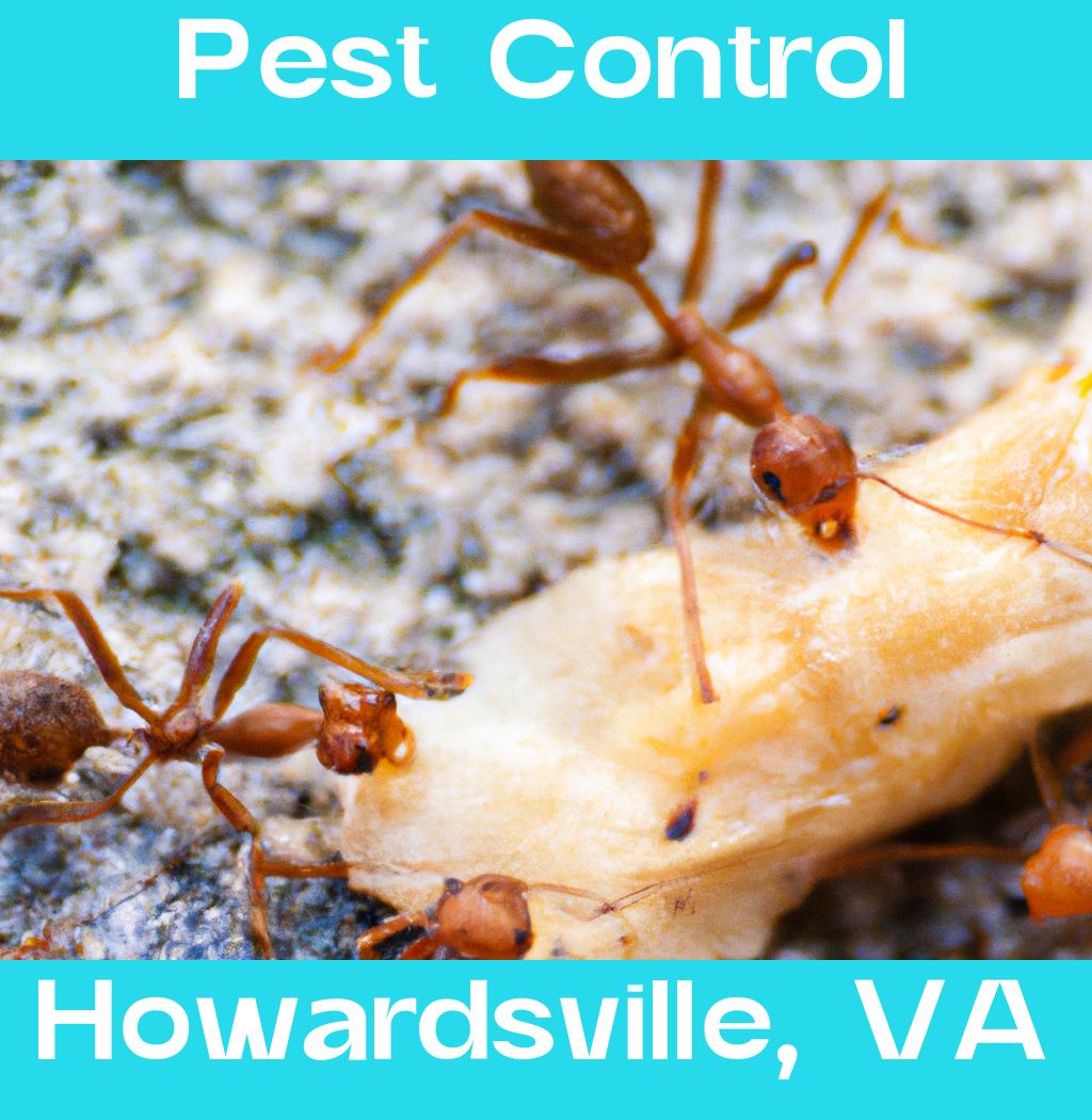 pest control in Howardsville Virginia