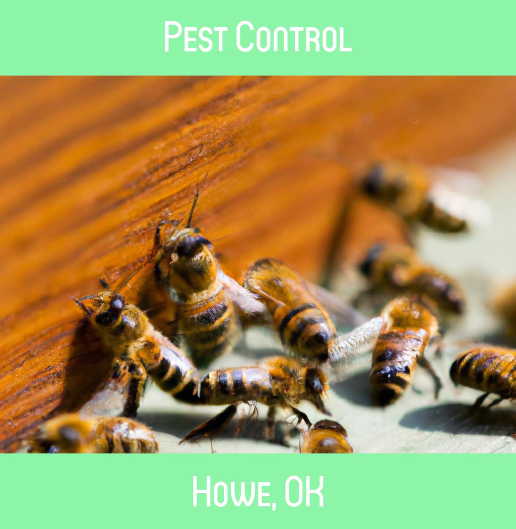 pest control in Howe Oklahoma