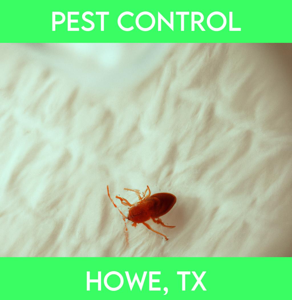 pest control in Howe Texas