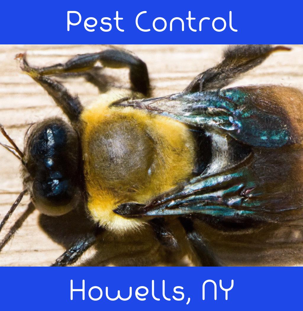 pest control in Howells New York