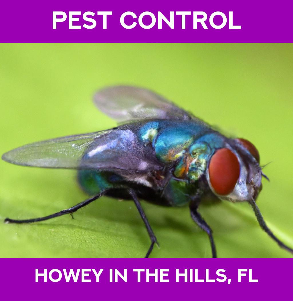 pest control in Howey In The Hills Florida