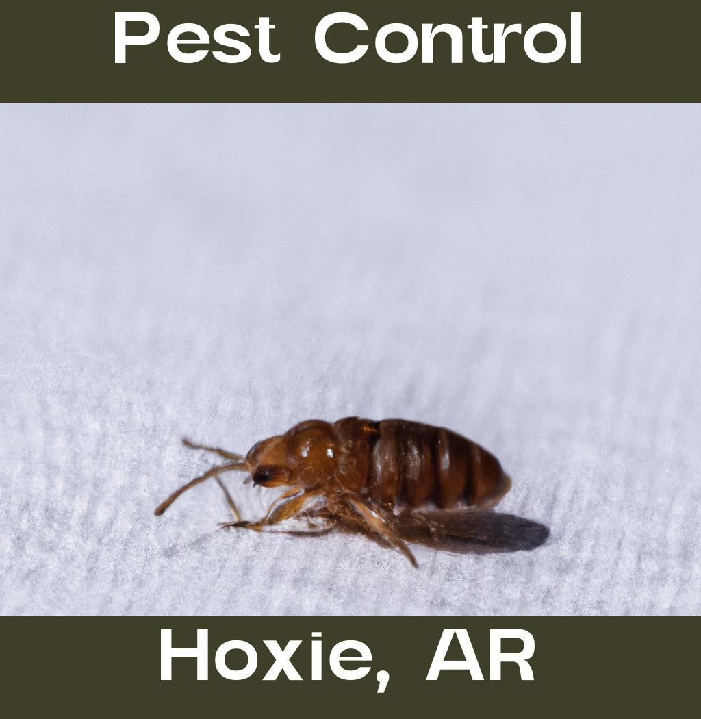 pest control in Hoxie Arkansas