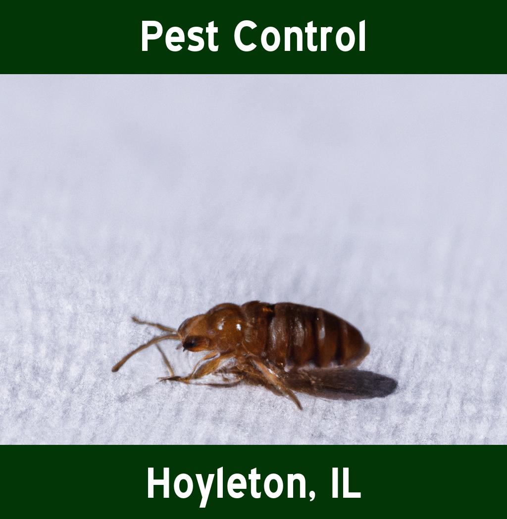 pest control in Hoyleton Illinois