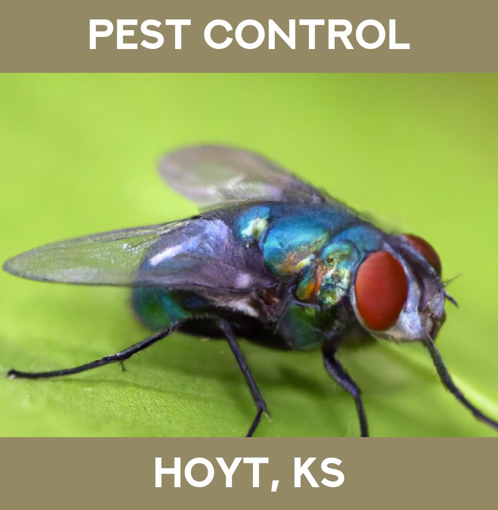 pest control in Hoyt Kansas