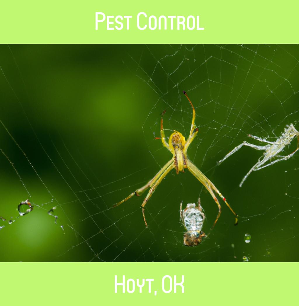 pest control in Hoyt Oklahoma